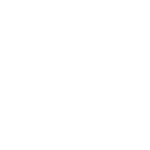 Zahlentis